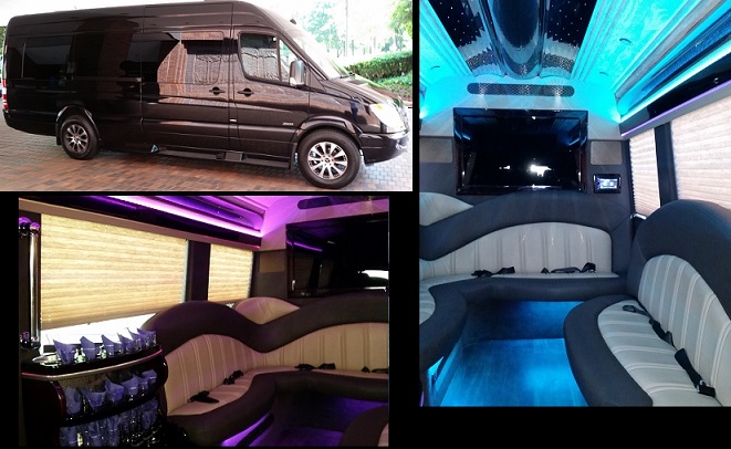 12 Passenger Sprinter Party Bus Atlanta Sprinter Party Bus Rental